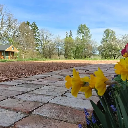 Дом отдыха Letniskowy